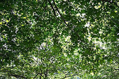 PS5 9月更新明日上线 终于支持M.2 SSD扩容